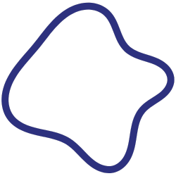 shape icon